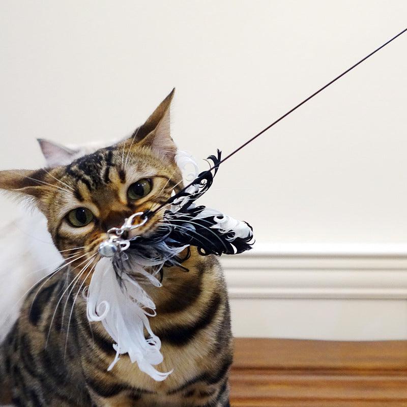 Tantalizing Feathered Fun Cat Stick Toy-4